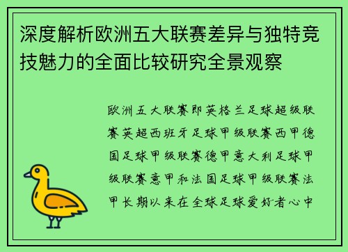 深度解析欧洲五大联赛差异与独特竞技魅力的全面比较研究全景观察