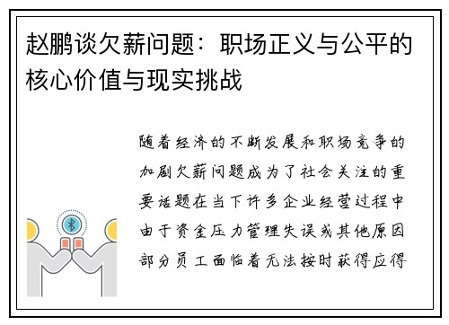 赵鹏谈欠薪问题：职场正义与公平的核心价值与现实挑战